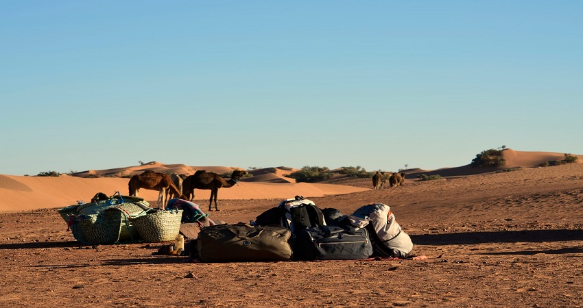 2 Nights Camel Trekking in Merzouga Sahara