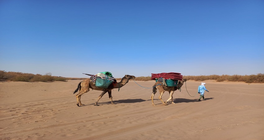 6-day camel trek in Desert Merzouga