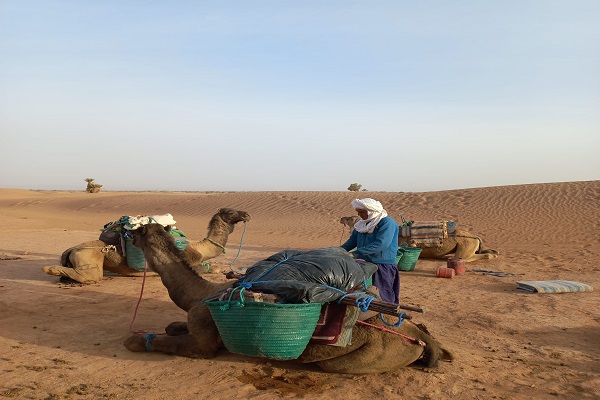 3 Nights Camel Trek in Merzouga