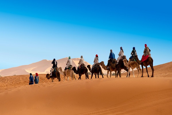 Overnight Camel Ride in Merzouga