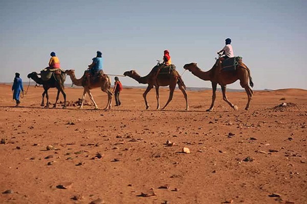 2 Nights Camel Trekking in Merzouga